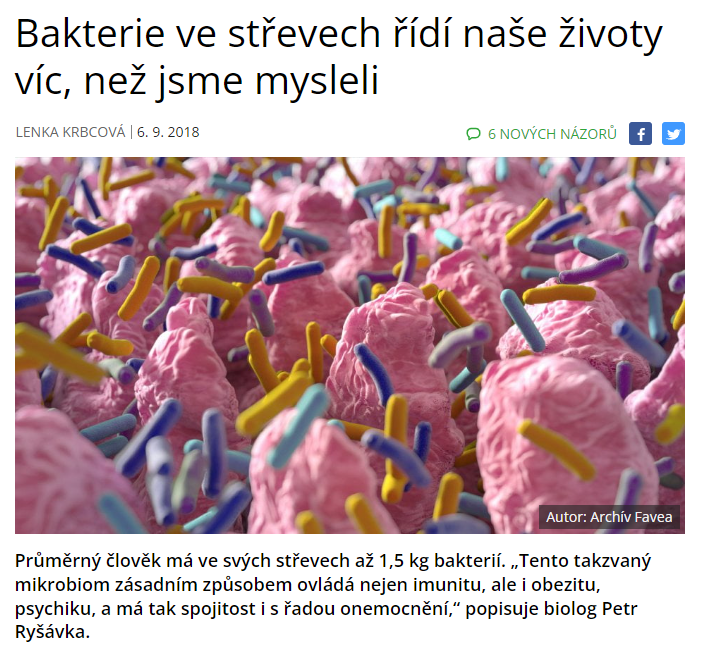 Bakterie