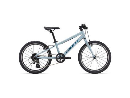 GIANT dětské kolo ARX 20" (Barva Soap Suds)