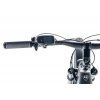 Leader Fox AXEN 29" 2023 1 (Barva šedo černá, Velikost 19,5")