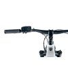 Leader Fox Brasa 20 Ah 26" 2024