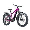 Leader Fox Brasa 20 Ah 26" 2024