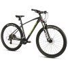 Leader Fox EVOLUTION 29" 2025