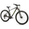 Leader Fox EVOLUTION 29" 2025