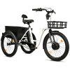 Leader Fox Lovelo 602 Wh 24" 2025