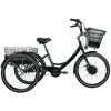 Leader Fox CARGO - TRICYCLE BORMIO 2025