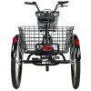 Leader Fox CARGO - TRICYCLE BORMIO 2025