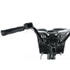 Leader Fox CARGO - TRICYCLE BORMIO 2025