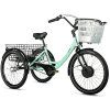 Leader Fox CARGO - TRICYCLE BORMIO 2025