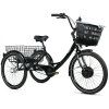 Leader Fox CARGO - TRICYCLE BORMIO 2025