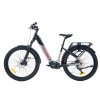 LECTRON Taura PSX Pro 29” 800 Wh 2026 (Barva Dark, Velikost 19")