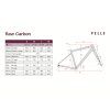 pells raw carbon 2 grx dijon gold 5 o