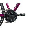 Leader Fox AWAY LADY 28" 2025 (Barva VIOLET SHINY, Velikost 20")