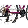 Leader Fox AWAY LADY 28" 2025 (Barva VIOLET SHINY, Velikost 20")