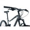 Leader Fox TRION  29" 2025 (Barva GREY SHINY, Velikost 19,5")