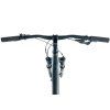 Leader Fox TRION  29" 2025 (Barva GREY SHINY, Velikost 19,5")
