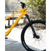 norco optic c3 29 golden larch yellow 3 o