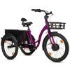 Leader Fox Lovelo 602 Wh 24" 2025 (Barva VIOLET)
