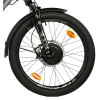 Leader Fox E-Cargo Curtis 602 Wh 24" 2025