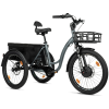 Leader Fox E-Cargo Curtis 602 Wh 24" 2025