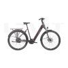 LEVIT BELECO 3 lowstep 540 Wh (15 Ah) (Barva Champagne, Velikost rámu 60)