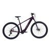 ESCONDER AVINOX 2027 plum RS